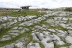 PICTURES/The Burren - Poulnabrone Portal Tomb/t_DSC04983.JPG